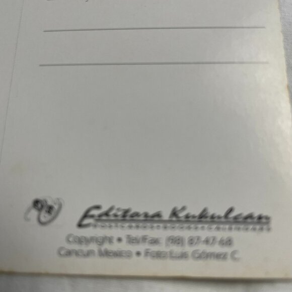 Vintage Cenote Dzitnup Valladolid Mexico Non Topographical Standard Postcard u - Picture 5 of 5